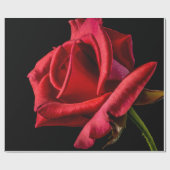 Red Rose against Black Background Cadeaupapier (Vlak)