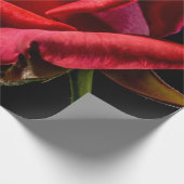 Red Rose against Black Background Cadeaupapier (Hoek)