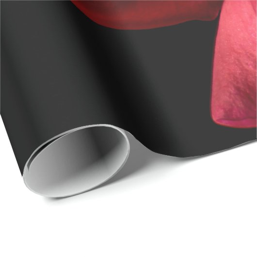 Red Rose against Black Background Cadeaupapier (Rol Hoek)