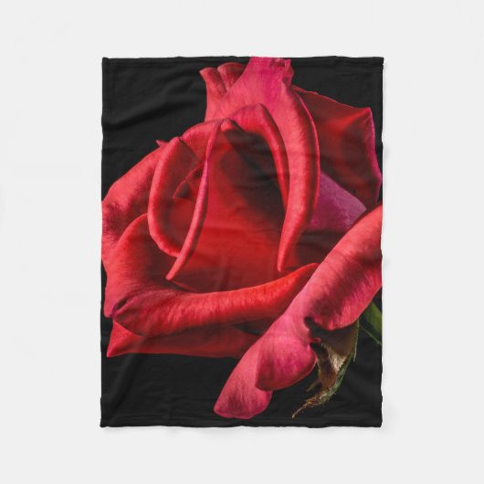 Red Rose against Black Background Fleece Deken (Voorkant)