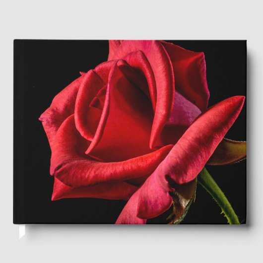 Red Rose against Black Background Gastenboek (Voorkant)