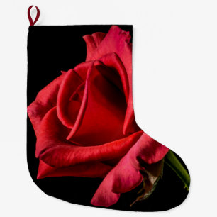 Red Rose against Black Background Grote Kerstsok