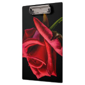 Red Rose against Black Background Klembord (Links)