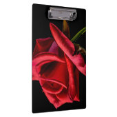 Red Rose against Black Background Klembord (Rechts)