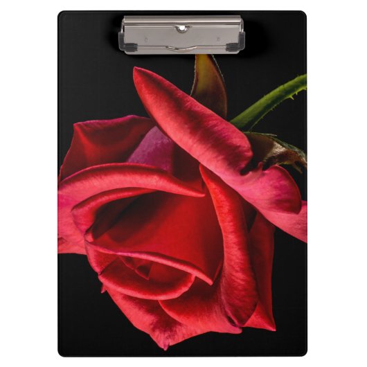 Red Rose against Black Background Klembord (Voorkant)