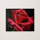 Red Rose against Black Background Legpuzzel (Horizontaal)