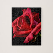 Red Rose against Black Background Legpuzzel (Verticaal)