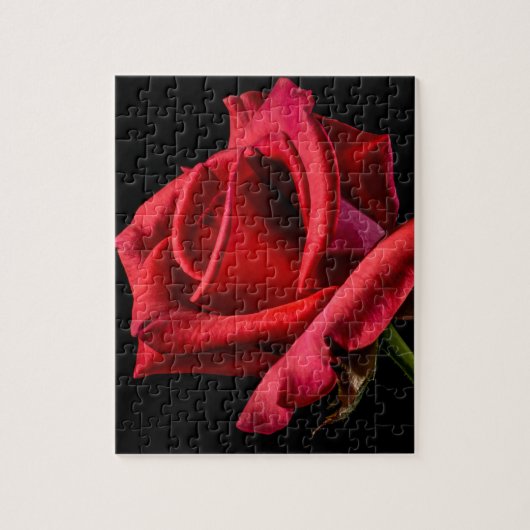 Red Rose against Black Background Legpuzzel (Verticaal)