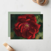 Red Rose Art Flower Floral Note Card Set Notitiekaartje (Voorkant / Achterkant in situ)
