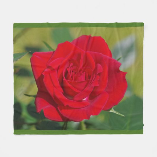 Red Rose Beauty Fleece Deken (Voorkant (Horizontaal))