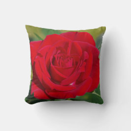 Red Rose Beauty Kussen