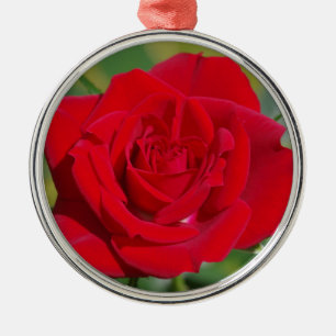 Red Rose Beauty Metalen Ornament