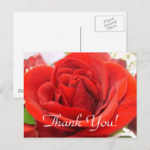 Red Rose bedankt! Briefkaart (Voorkant / Achterkant)