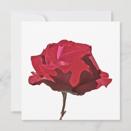 Red Rose begrafenis bedankkaart Kaart (Achterkant)