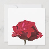 Red Rose begrafenisaankondiging Kaart (Achterkant)