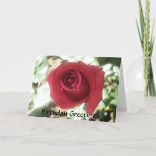 Red Rose Birthday Card Kaart