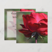 Red Rose Birthday Kaart (Voorkant / Achterkant)