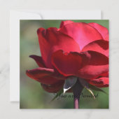 Red Rose Birthday Kaart (Voorkant)