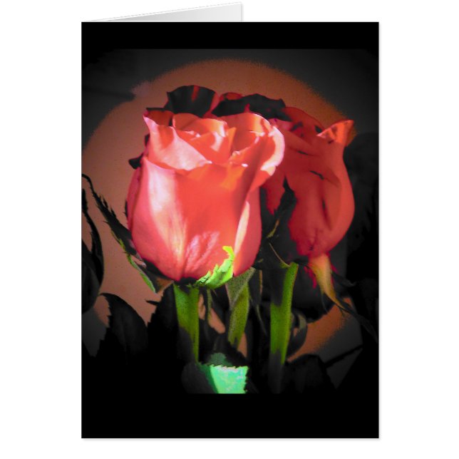 Red Rose Black Back Ground Jouw tekst (Voorkant)