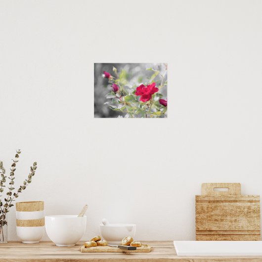 Red Rose Blooms van de zomer Poster (Keuken)