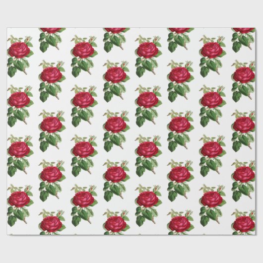 Red Rose Botanische Illustratie Patroon  Cadeaupapier (Vlak)