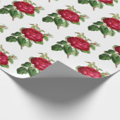Red Rose Botanische Illustratie Patroon  Cadeaupapier (Hoek)