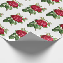 Red Rose Botanische Illustratie Patroon