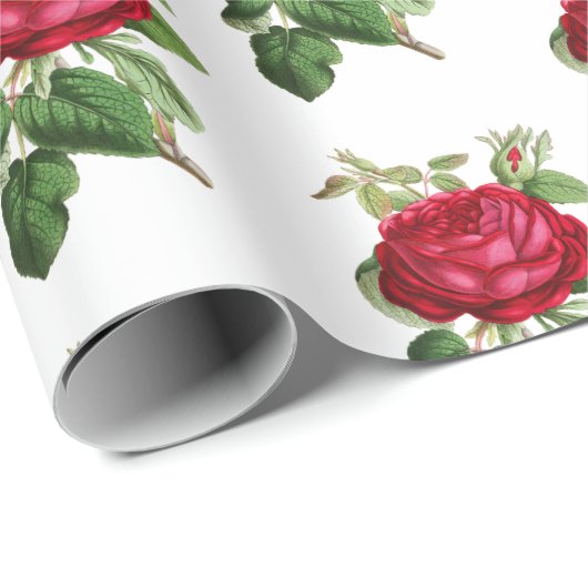 Red Rose Botanische Illustratie Patroon Cadeaupapier (Rol Hoek)