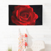 Red Rose brancna Spandoek (Insitu)