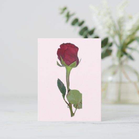 Red Rose Briefkaart (Staand voorkant)