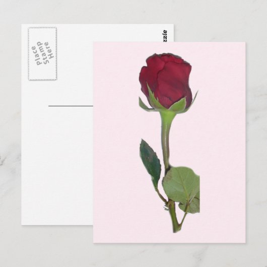 Red Rose Briefkaart (Voorkant / Achterkant)