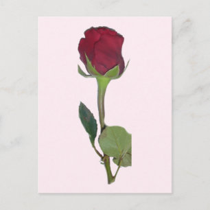 Red Rose Briefkaart