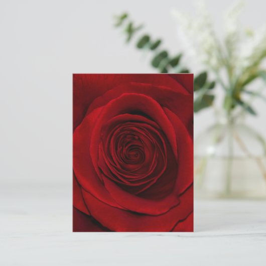 Red Rose Briefkaart (Staand voorkant)