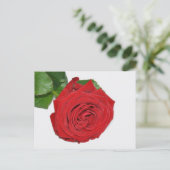 Red Rose Briefkaart (Staand voorkant)