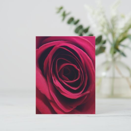 Red Rose Briefkaart (Staand voorkant)
