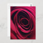 Red Rose Briefkaart (Voorkant / Achterkant)