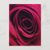 Red Rose Briefkaart (Voorkant)