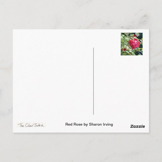 Red Rose Briefkaart (Achterkant)