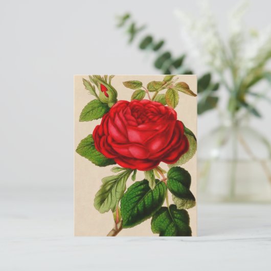 Red Rose Briefkaart (Staand voorkant)