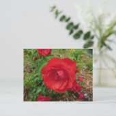 Red Rose Briefkaart (Staand voorkant)