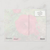 Red Rose Briefkaart (Achterkant)