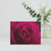 Red Rose Briefkaart (Staand voorkant)