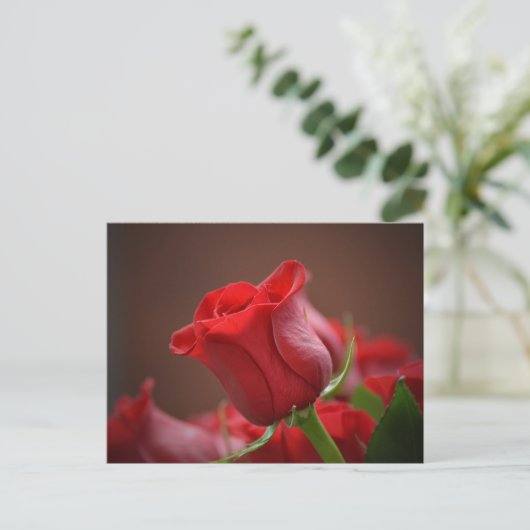Red Rose Briefkaart (Staand voorkant)