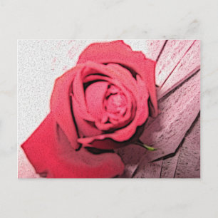 Red Rose Briefkaart