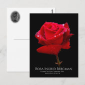 Red Rose Briefkaart (Voorkant / Achterkant)