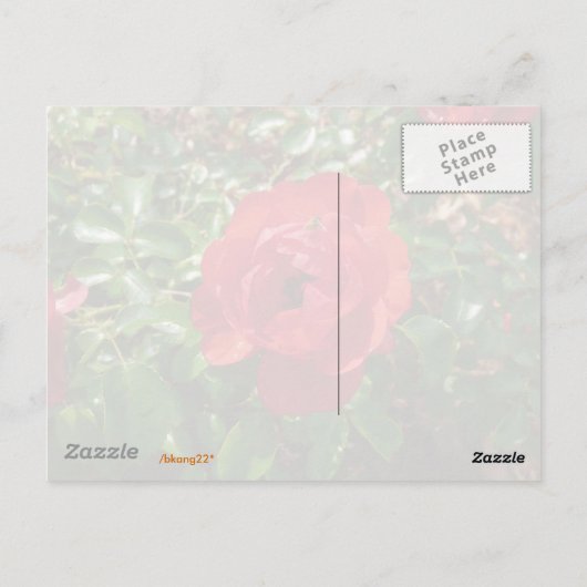 Red Rose Briefkaart (Achterkant)