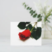 Red Rose Briefkaart (Staand voorkant)