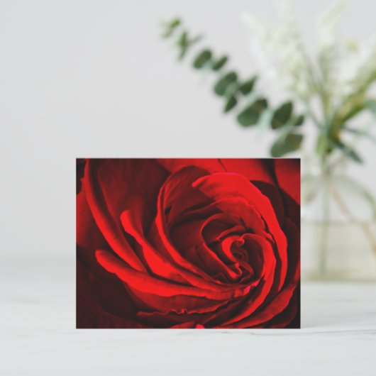 Red Rose Briefkaart (Staand voorkant)