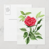 Red Rose Briefkaart (Voorkant / Achterkant)