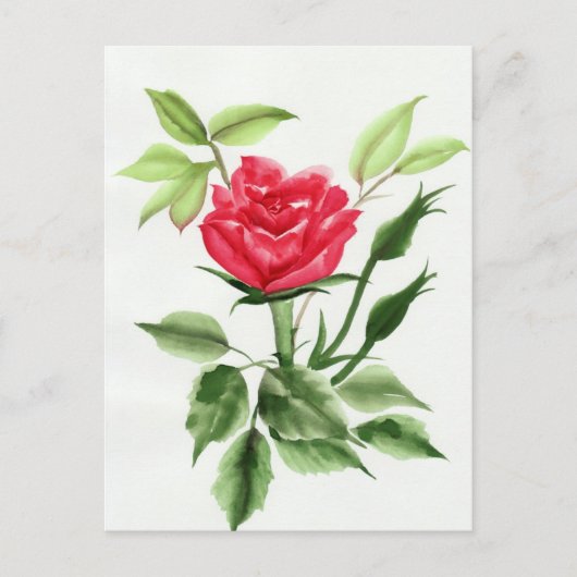 Red Rose Briefkaart (Voorkant)